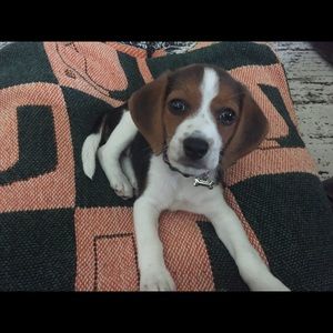 Meet your Posher, Nathaniel